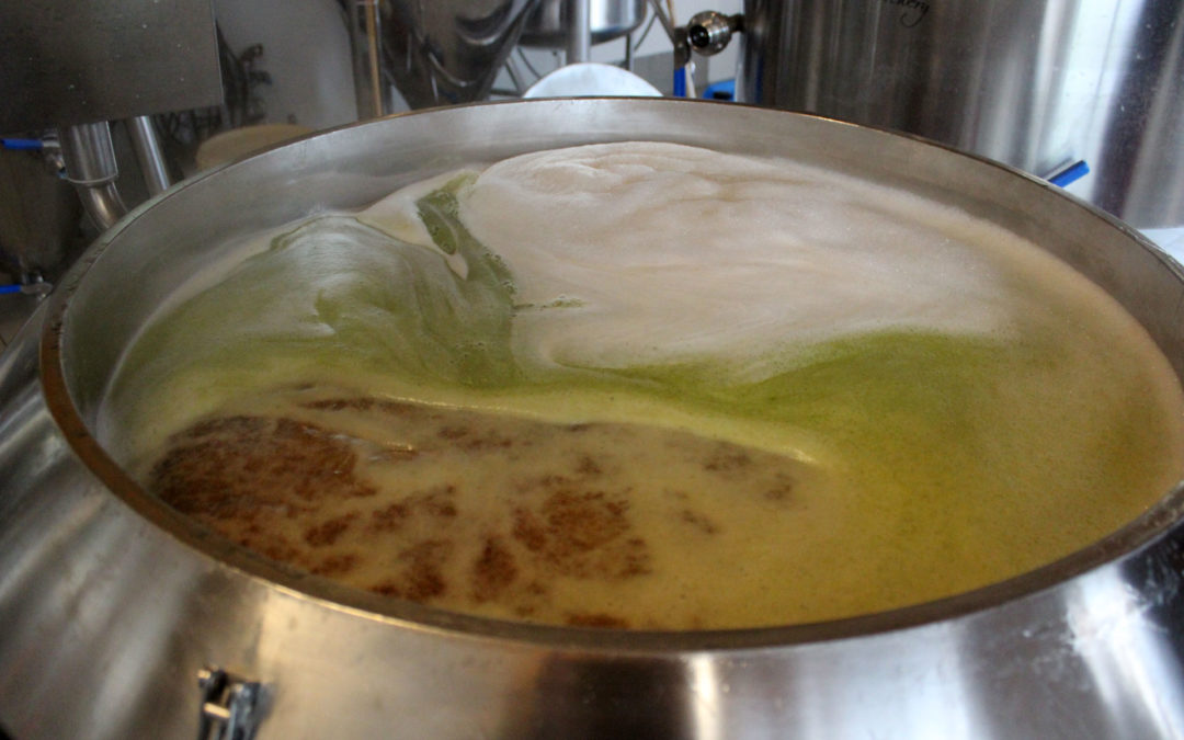 Nach dem abläutern wird der Hopfen zugesetzt